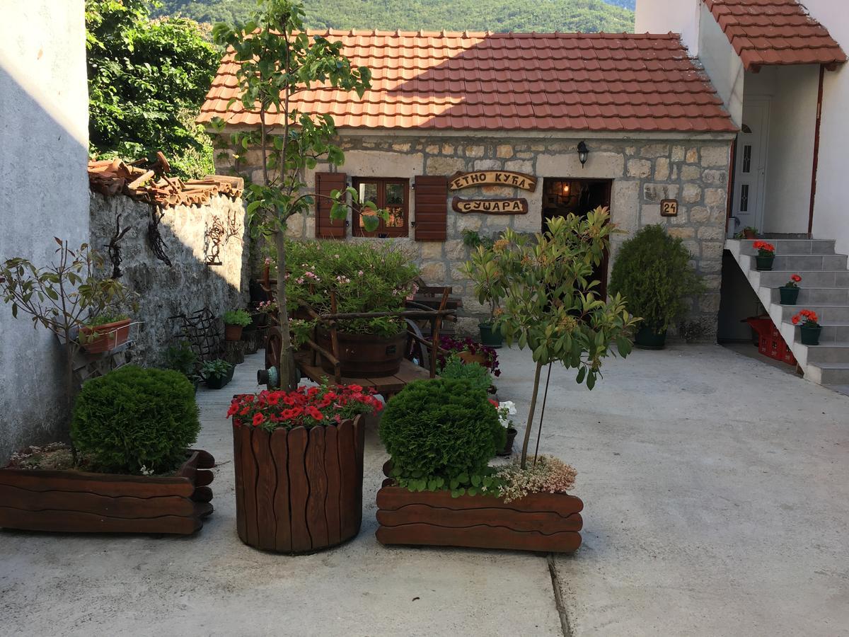 Bnb Njeguska Sijela Njegusi Extérieur photo